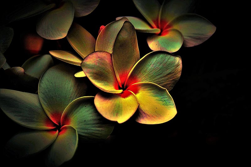 Flameless Candles